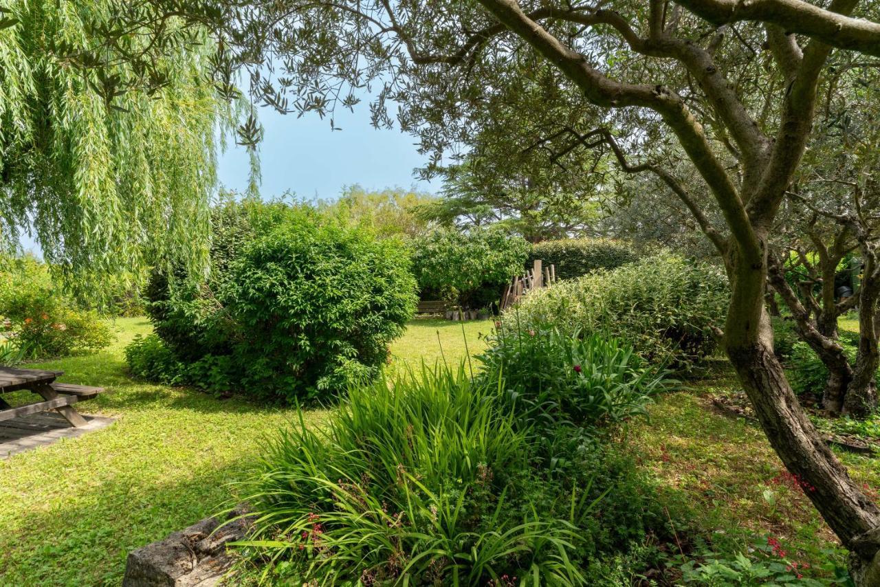 Villa La Mireio Malaucène Zewnętrze zdjęcie